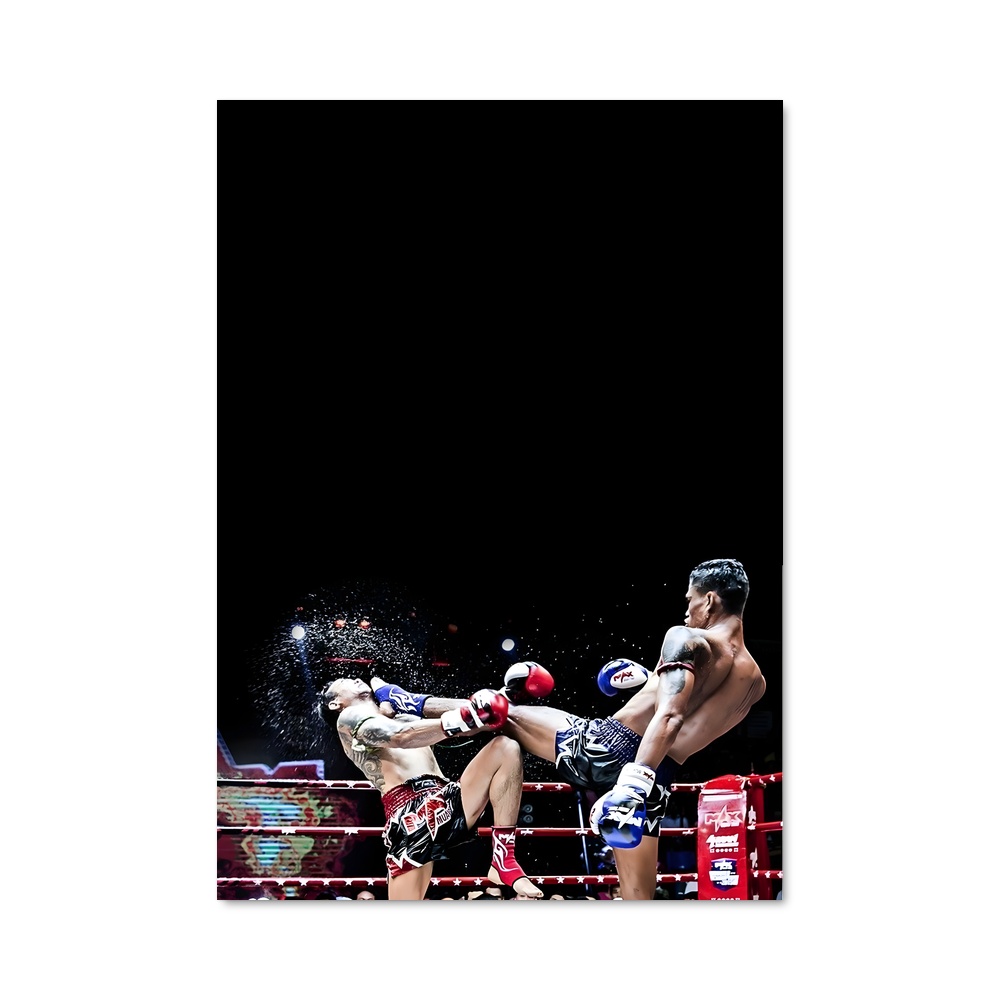 Poster Combat Suprême